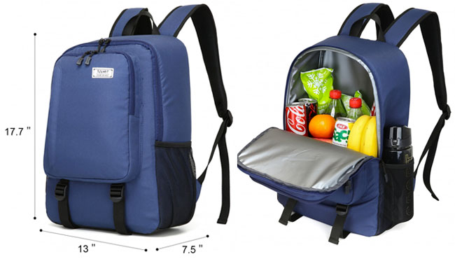 insulated backpack lunch bag
